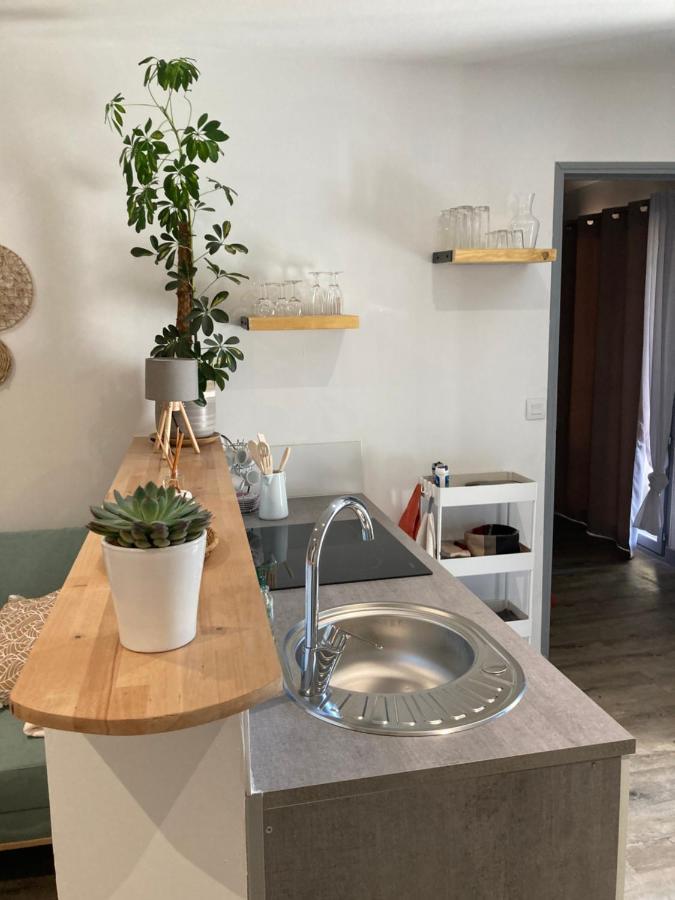 Bienvenue Chez Marie Pierre Apartman Oloron-Sainte-Marie Kültér fotó